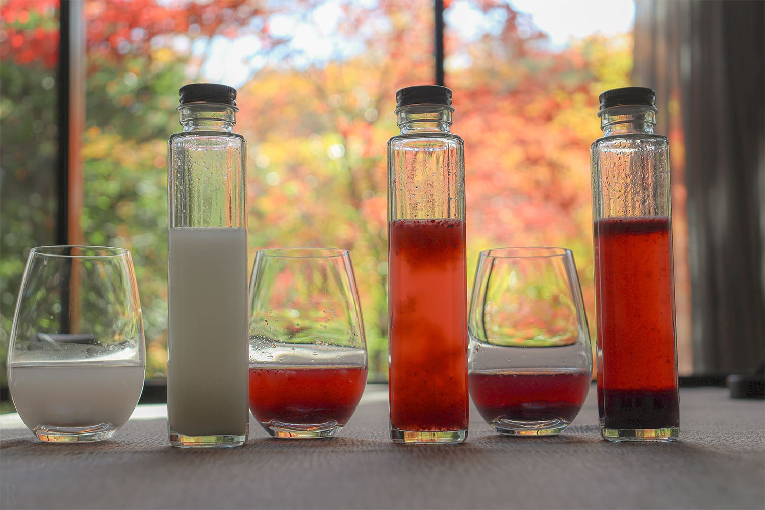 愛犬と一緒に乾杯！わんちゃん用ドリンク